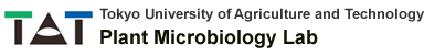 Plant Microbiology Laboratory (OKAZAKI Lab) - Tokyo University of Agriculture and Technology